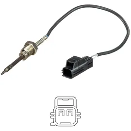 Delphi TS30151 Abgastemperatursensor 2-Polig Kompatibel mit VOLVO XC60 156 30713739 31293031 31370469