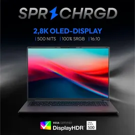 Medion SPRCHRGD 16 S1 OLED Intel Core Ultra 9 288V 32 GB RAM 2 TB SSD Win11 Home