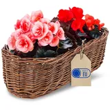 Creative Home Blumentopf Pflanzkasten Weidenblumentopf, Blumenkasten ähnlich wie Rattan, Weidenkorb für Topfblumen braun