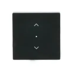 Busch-Jaeger 6232-10-81 Wippe 1-fach, mit Symbol ”Jalousie” 2CKA006220A0038 62321081