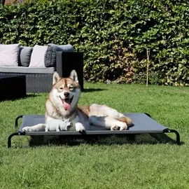 LIONTO Hundeliege Outdoor erhöhtes Hundebett Haustierliege verschiedene Farben - grau