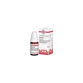 DHU-Arzneimittel Arnica D 6