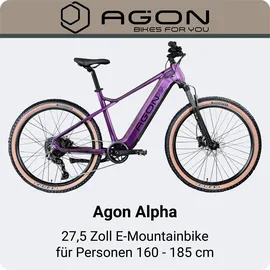Agon Alpha 27,5 Zoll RH 48 cm Sunrise Black Metallic