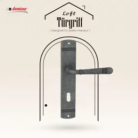 Domino Langschildgarnitur BB-Buntbart Nickel Loft M95