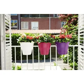 elho Corsica Flower Bridge Ø 30 x 24 cm weiß