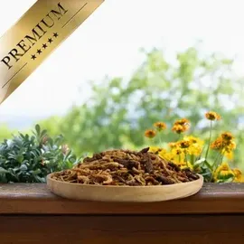 Lyra Pet Lyra Pet® Protein Boost Insekten Mix - mit Mehlwürmern, Shrimps & Grashüpfern 5 kg