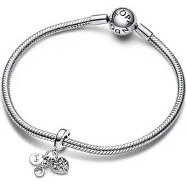 Pandora Moments Silber 792201C01