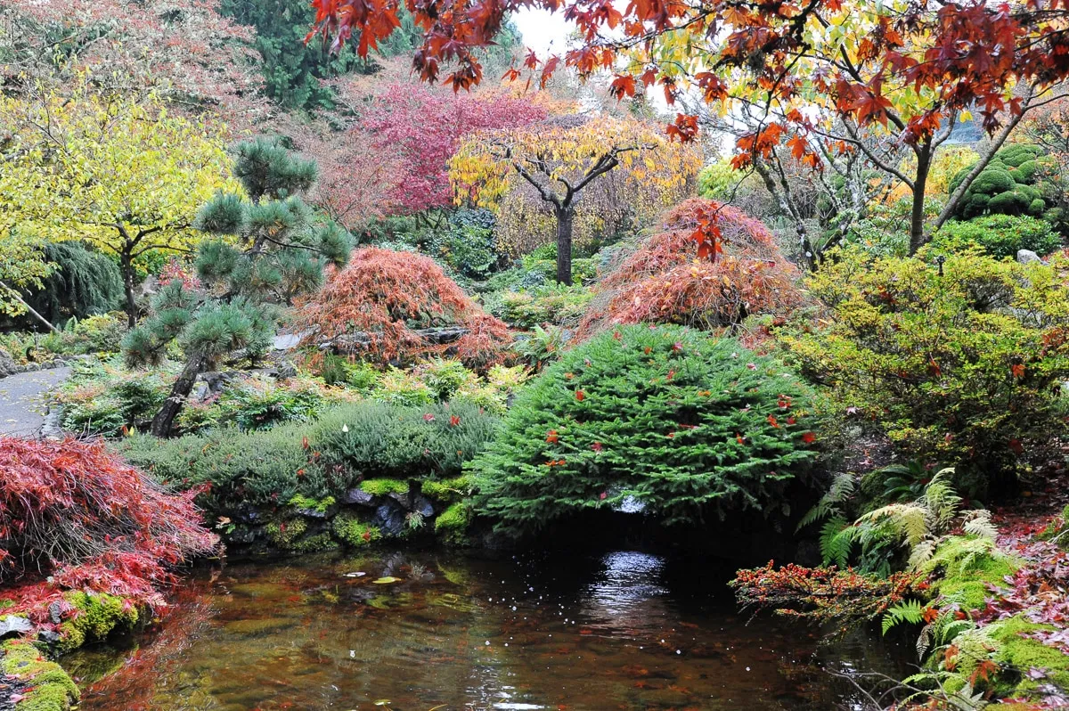 Fototapete PAPERMOON "Teich im Garten", bunt, B:5,00m L:2,80m, Vlies, Tapeten