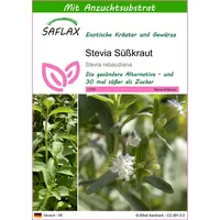SAFLAX - Kräuter - Stevia Süßkraut - 100 Samen