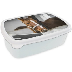 MuchoWow Lunchbox Pferd – Braun – Stall, Kunststoff, (2-tlg), Brotbox für Kinder und Erwachsene, Brotdose, für Jungs und Mädchen weiß