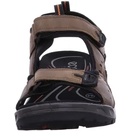 ECCO Offroad Herren nutmeg brown 43
