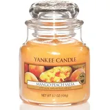 Yankee Candle Mango Peach Salsa