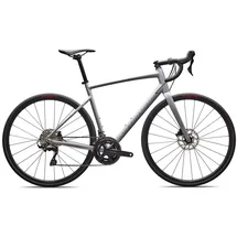 Specialized Allez Comp Grau Modell 2026 - 56 CM