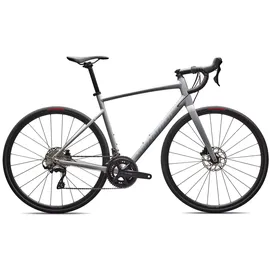 Specialized Allez Comp Grau Modell 2026 - 56 CM