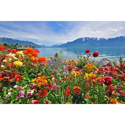 Fototapete PAPERMOON "BLUMEN-DESIGN NATUR LANDSCHAFT GEBIRGE BERGE ALPEN SEE", bunt, B:4,00m L:2,60m, Vlies, Tapeten