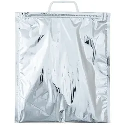 SACISO Metallisierte Plastiktüte 30 x 35 cm (Öffnung x Höhe) - kleines Volumen 8L - Innenfutter aus wärmeisolierendem PE-Schaumstoff - pro 250 Stück.