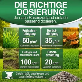 düngemeister Rasendünger für Ihren sattgrünsten Traumrasen - gesunder, dichter und sattgrüner Rasen sofort mit revolutionärer KI Formel - Lan...