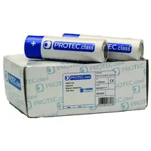 PROTEC.class PBAT AA 2600 mAh 10 St.
