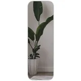 moebel17 Dekospiegel Standspiegel Blush 160x50 cm Weiß weiß