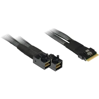 Inter-Tech SFF-8654 8i - 2x SFF-8643