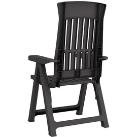 vidaXL Gartenstuhl 58 x 62 x 108 cm moccafarben klappbar 2 St.