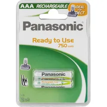 Panasonic Ready to Use Dect Micro 2 St.