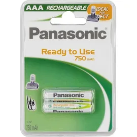 Panasonic Ready to Use Dect Micro 2 St.