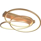 Trio Leuchten Darvin Deckenleuchte LED 649110179,