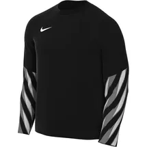 Nike Park V Torwarttrikot Langarm schwarz F010
