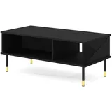 petits-meubles Woody Schwarz Holzwerkstoff 110 x 45 cm