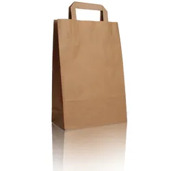 Nette 250 Papiertragetaschen braun 22+10x28cm