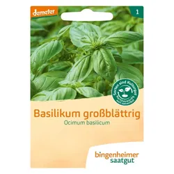 Bingenheimer Saatgut Basilikum Großblättrig