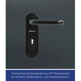 Hörmann Innova T30 Plus rechts 87,5 x 200 cm anthrazitgrau