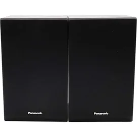 Panasonic SC-PM250EG-K schwarz