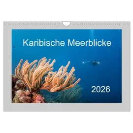 Calvendo Karibische Meerblicke (Wandkalender 2026 DIN A4 quer), CALVENDO Monatskalender: Faszination karibische Unterwasserwelt - türkises Wasser und eine ... erwarten Sie! (CALVENDO Natur)