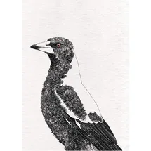 Maxwell & Williams Marini Ferlazzo Birds Bedrucktes Geschirrtuch mit Australischem Königspapagei Design, Baumwolle, Schwarz/Weiß, 50 x 70 cm