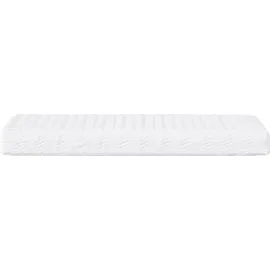 vidaXL Tagesbett 100 x 200 cm Hellgrau