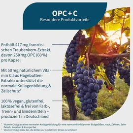 NatuGena OPC + C Kapseln 90 St.