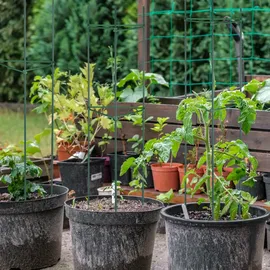 Relaxdays Rankhilfe 90 x 16 cm Dunkelgrün