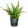 elho Greenville Easy Hanger single - 25 cm