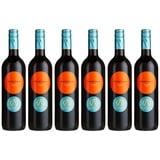 Arcale Primitivo Salento IGT Rotwein trocken (6 x 0.75 l)