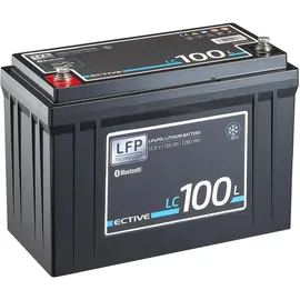 Ective LC 100L Versorgungsbatterie 17,5 x 19 cm Schwarz