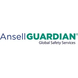 Ansell Handschuhe HyFlex 11-925 Gr.10 blau EN 388 Kat.II