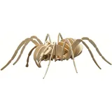 Peter Bausch GmbH & Co. KG Holzbausatz Tarantel (8571)