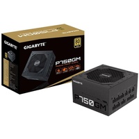 Gigabyte Netzteil 750W P750GM, GP-P750GM, schwarz, Einheitsgröße