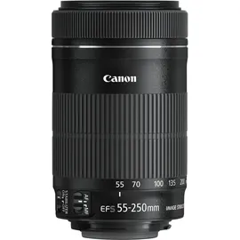 Canon EF-S 55-250 mm F4,0-5,6 IS STM