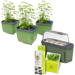 Gusta Garden Stadtkräutergarten-Set 6-teilig, dunkelgrün