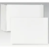 Posthorn Faltentasche 07080356 B4 ohne Fenster haftklebend 150g 200