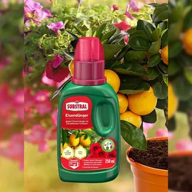Substral Eisendünger Flüssigdünger 250 ml