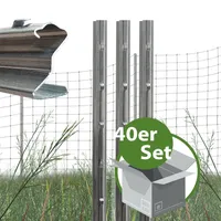Trutzholm Zaunpfosten 40 x 150 cm Grau/Feuerverzinkt